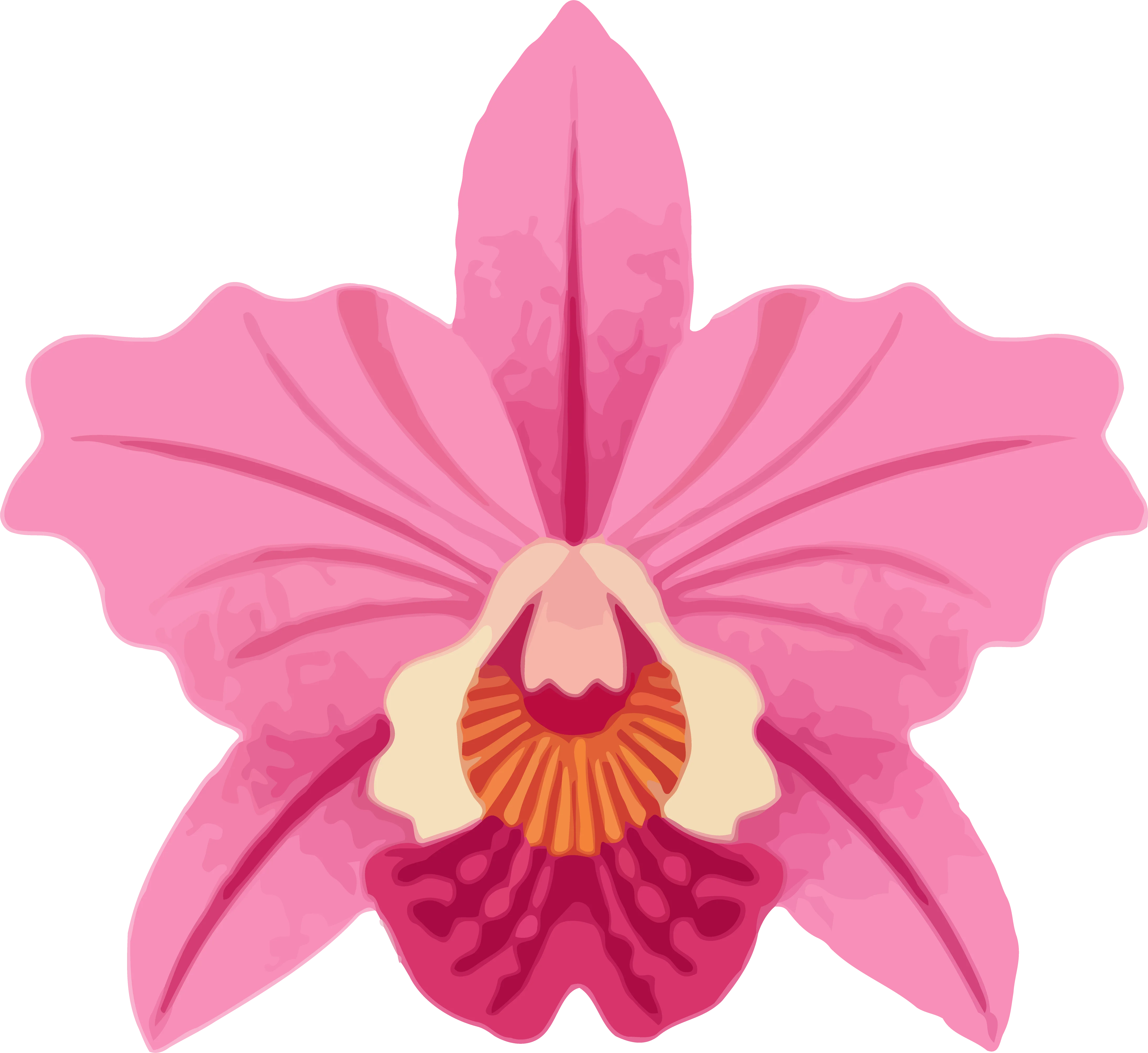 Flora de la región